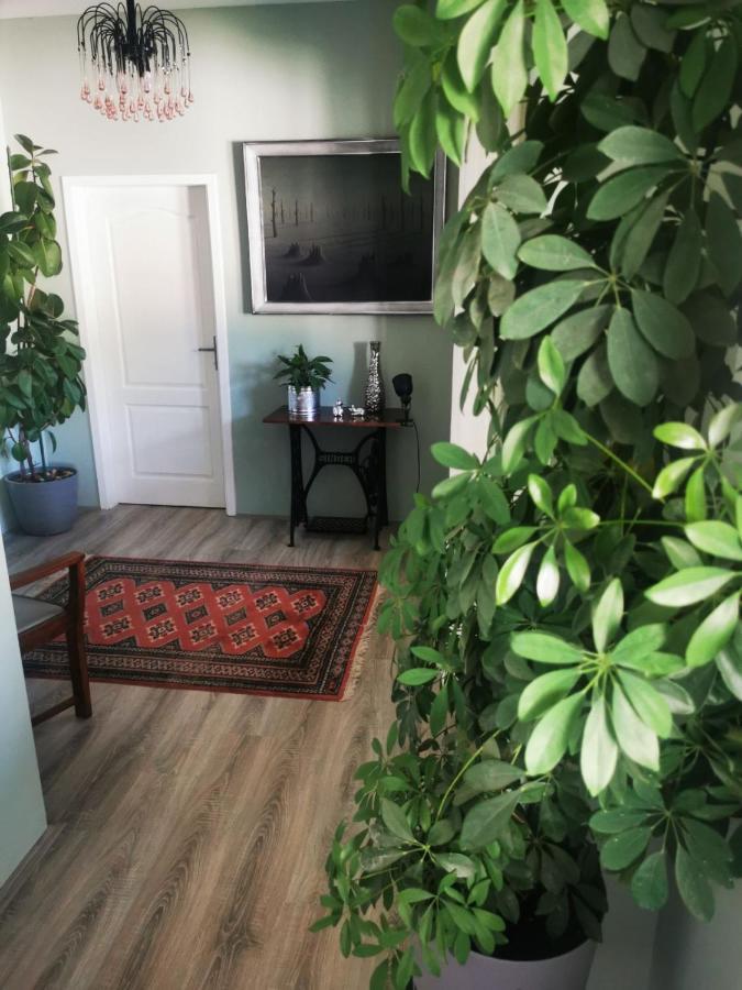Sombor 19 Central Apartment Bagian luar foto